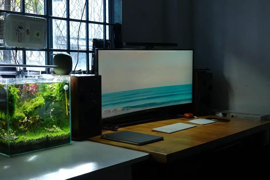 Do Ghost Shrimp Need a Heater to Survive?
